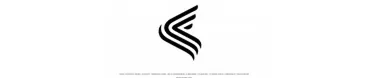 Client Logo C3